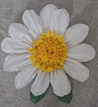 Giant Paper Daisy Flower